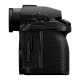 Lumix S1 II