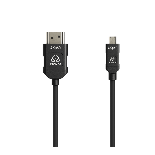 Câble micro HDMI / Full HDMI (45cm)