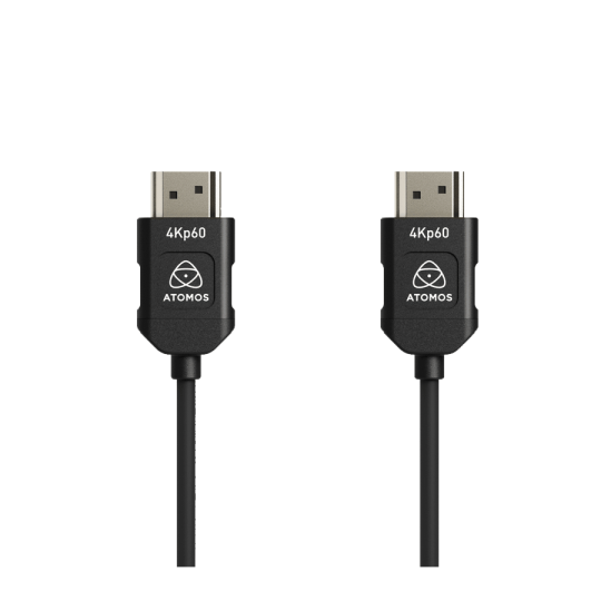 Câble Full HDMI / Full HDMI (45 cm)