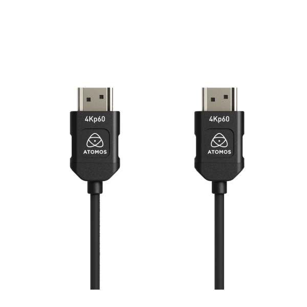 Câble Full HDMI / Full HDMI (45 cm)