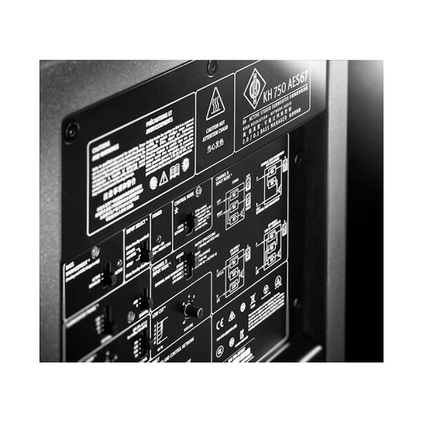 Neumann Caisson de basse KH 750 AES67