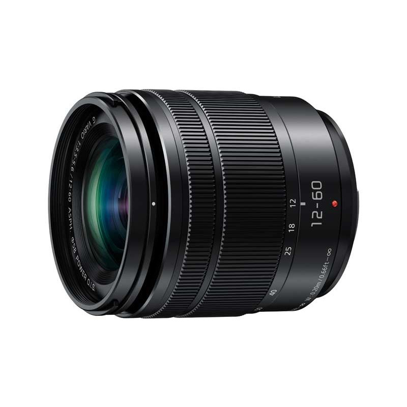 Panasonic H-FS45150 - Lumix G Vario 45-150mm f/4.0-5.6 ASPH. Mega