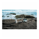 DJI drone 4K Lito X1 Fly More Combo avec RC 2