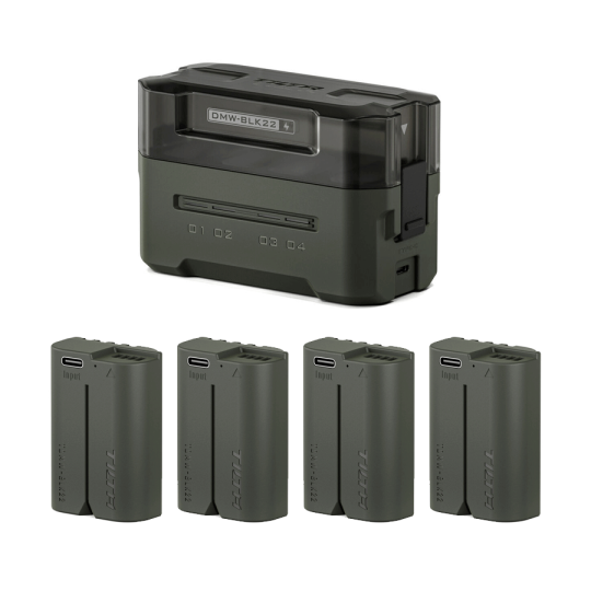 Tilta Kit batteries DMW-BLK22 + station de charge 4 slots