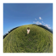 DJI Kit perche à selfie invisible 1,2 m pour caméra 360°
