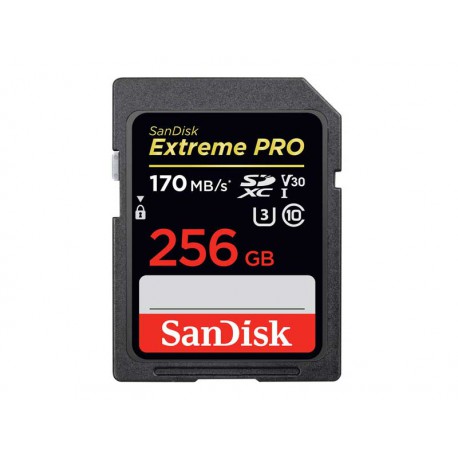 SD Extreme Pro 256Go
