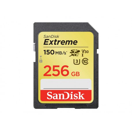SD Extreme 256Go