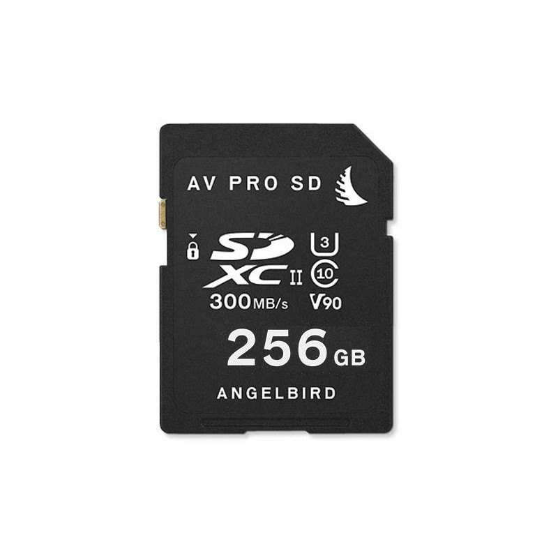 AV PRO SD V90 MK II 256Go