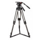V25P EFP GS CF
