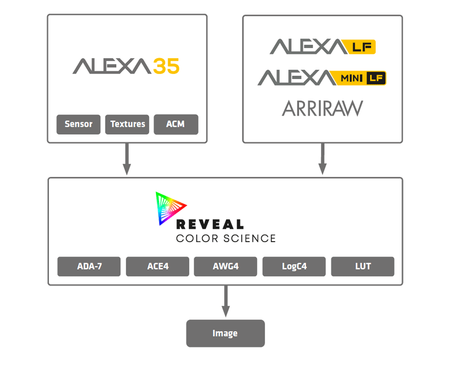 REVEAL Color Science et sa solution de traitement d’images