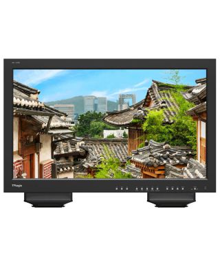 Moniteur LUM 310A