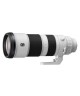 FE 200-600mm f/5.6-6.3 G OSS